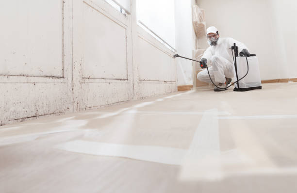 24/7 Emergency Mold Remediation experts in West Babylon, NY